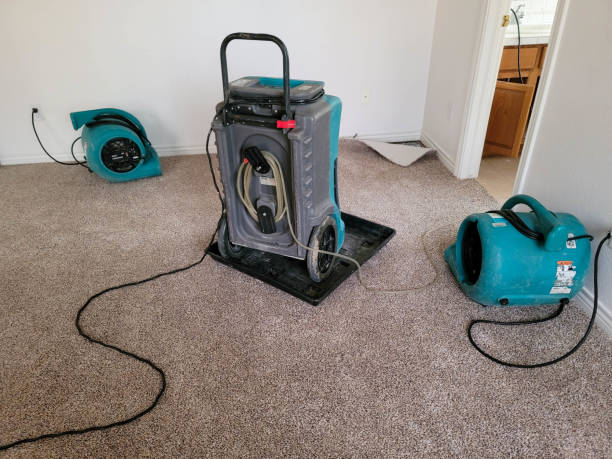 Best 24/7 water damage repair  in Mountain Home Af, ID
