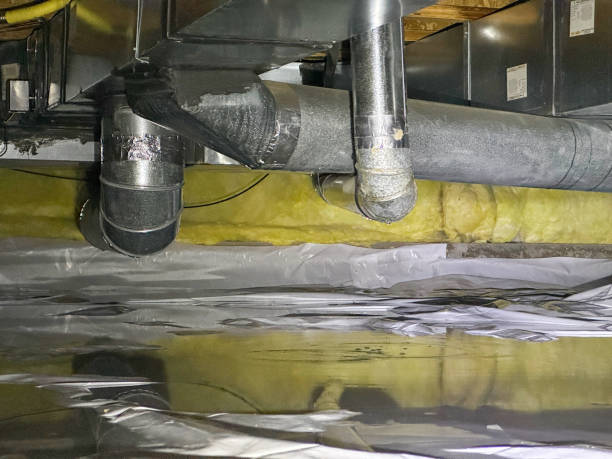 Trusted Mountain Home Af, ID Water damage restoration Experts