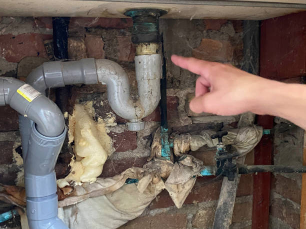 Best Water damage restoration near me  in Mountain Home Af, ID