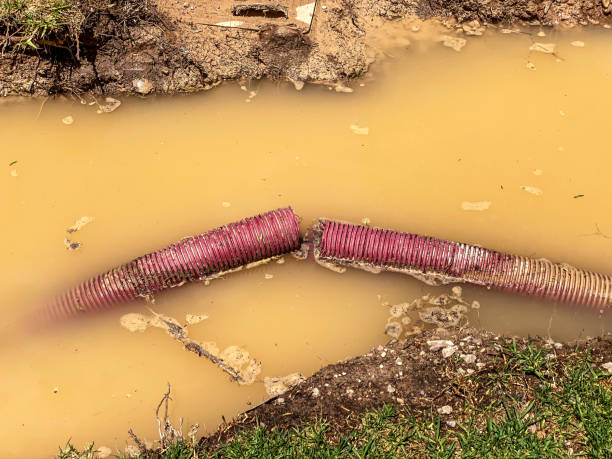 Best Carpet water damage restoration  in Mountain Home Af, ID